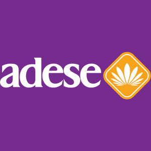 ADESE logosu
