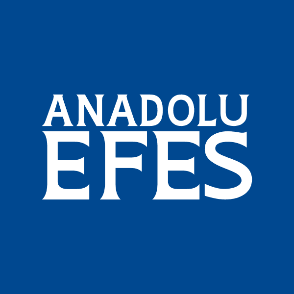 AEFES Logosu