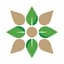 KAYSE logo