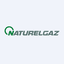 NTGAZ logo