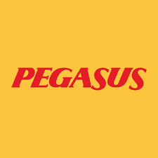 PGSUS Logosu