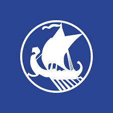 VKING logosu