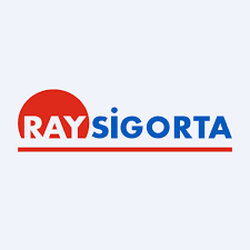 RAYSG logosu